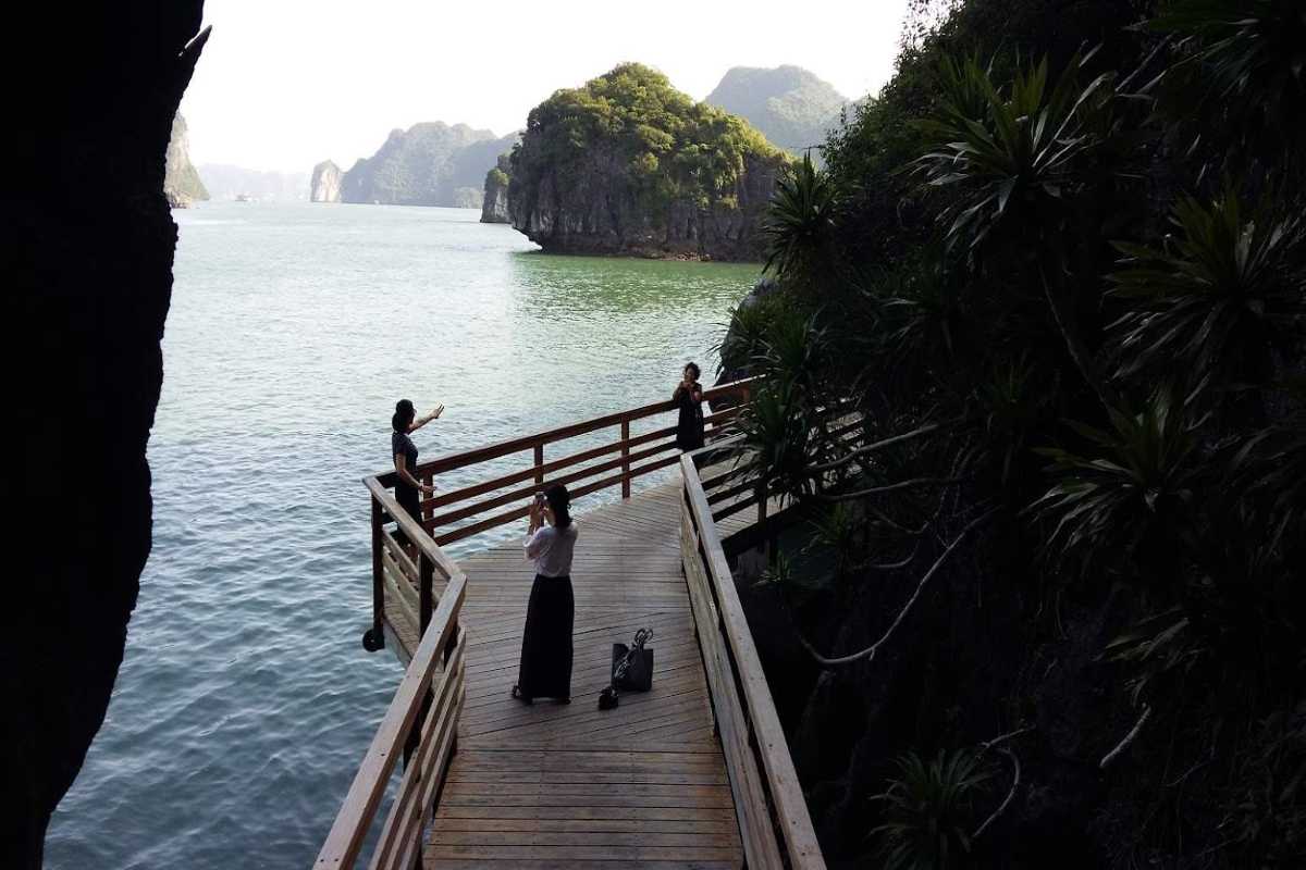 Aerial landscape showing Soi Sim Island Halong Bay’s lush forest and calm waters