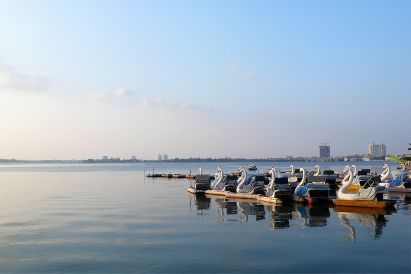Swan Boats Floating on West Lake Hanoi A row of swan-shaped paddle boats floating peacefully on the calm waters of West Lake in Hanoi, ready for tourists to rent.