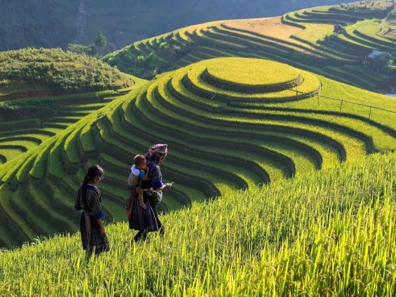 A scenic view of the terraced rice fields in Lao Chai Village, Sapa, with two women in traditional attire.
