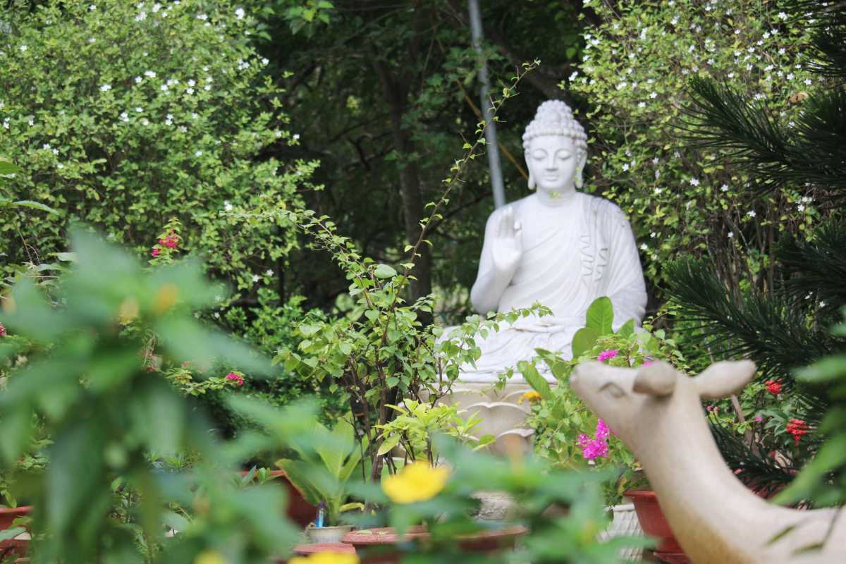 Visitors walking and praying in the open courtyard surrounded by temple buildings at Tong Lam Lo Son Pagoda