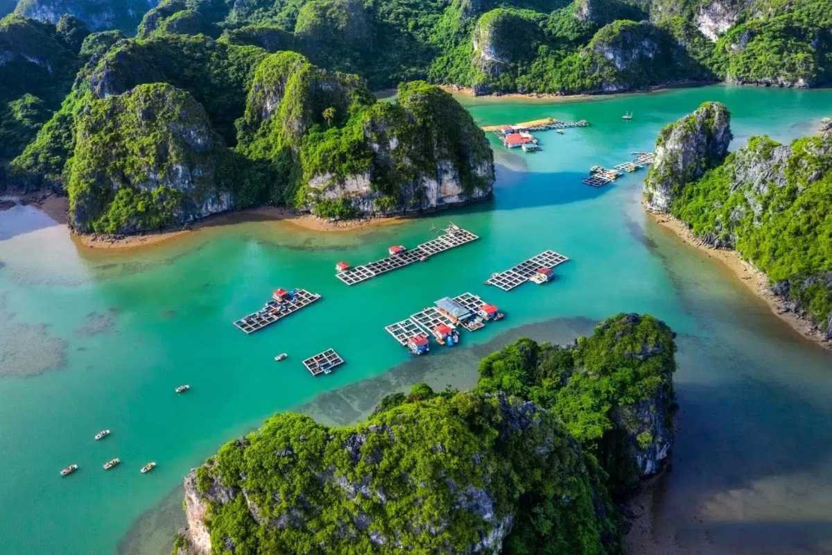 Daily life scene of locals on boats and floating houses in Cong Dam Fishing Village