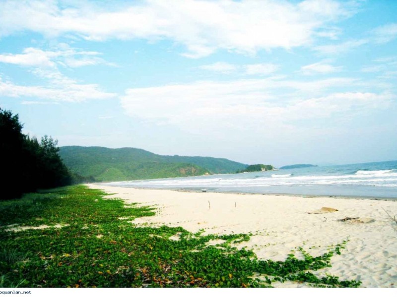 Empty beach with sand and greenery along the shore on Quan Lan Island.