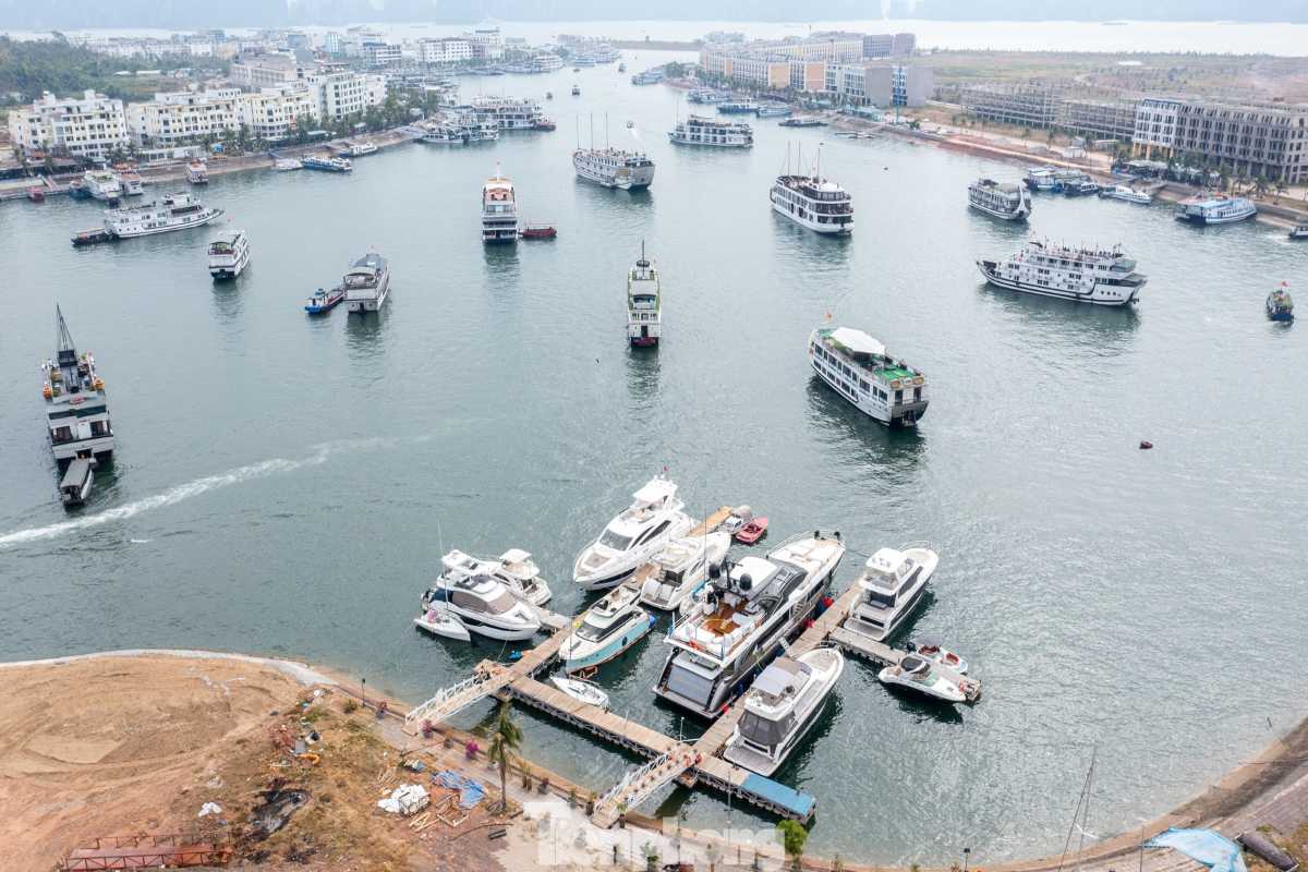 Busy docking area for cruise boats at Tuan Chau Harbor Halong, preparing visitors for bay exploration.