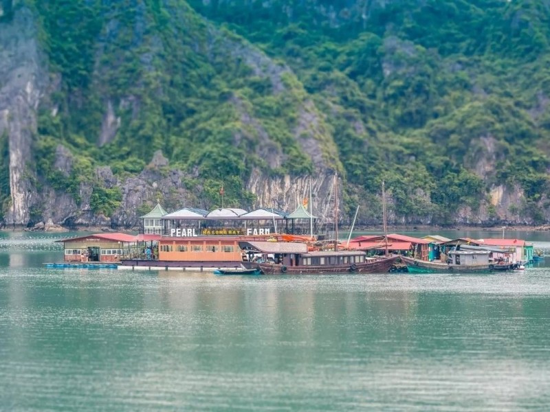 Tung Sau Pearl Farm in Halong Bay The Tung Sau Pearl Farm surrounded by water and limestone islands in Halong Bay.