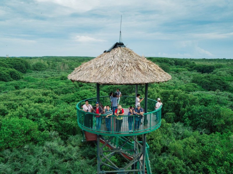 Viewing Platform in Vam Sat, Can Gio Mangrove Forest Viewing platform in Vam Sat, offering a panoramic view of Can Gio Mangrove Forest.