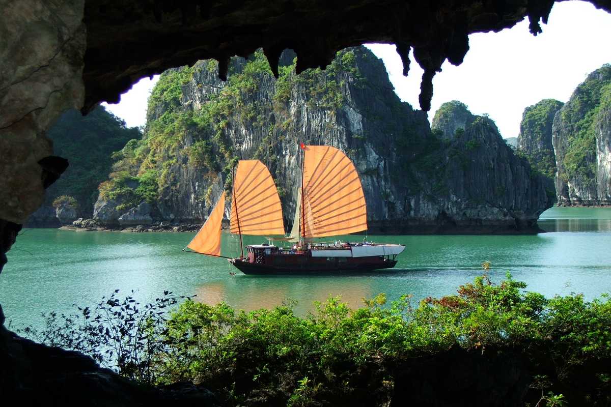Rocky cave interior with plants growing near the entrance of Virgin Cave Halong Bay