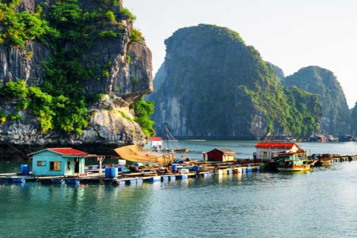 Traditional local boats moored in calm waters at Vung Vieng Fishing Village surrounded by limestone cliffs