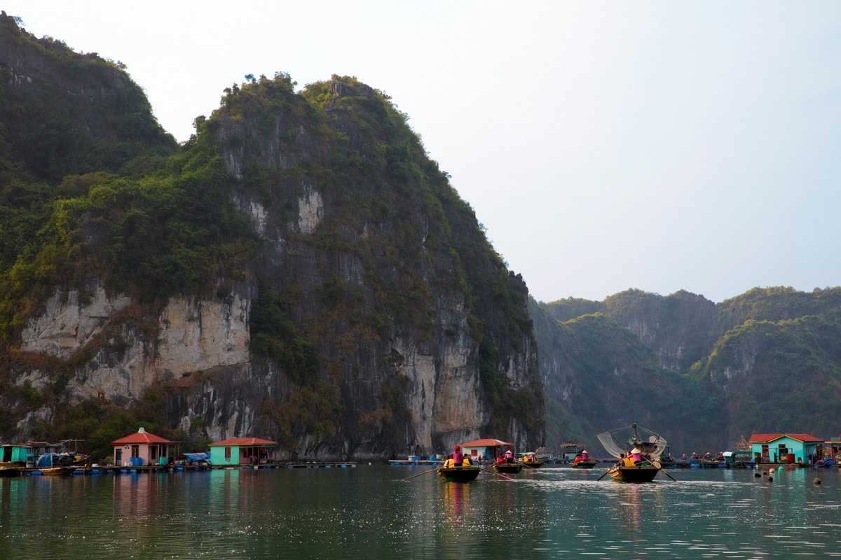 Traditional wooden fishing boats docked at Vung Vieng Fishing Village with limestone hills in the background