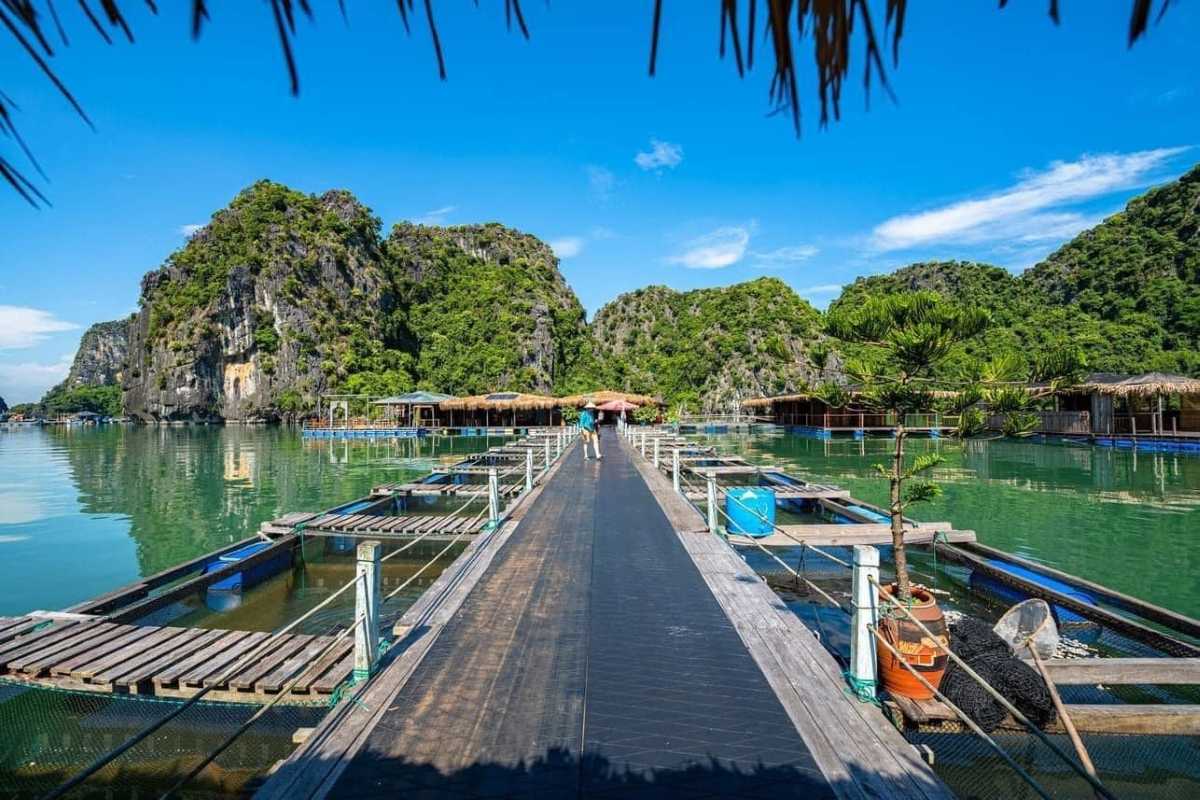 Wooden walkway extending through floating fish farms at Vung Vieng Fishing Village on Halong Bay