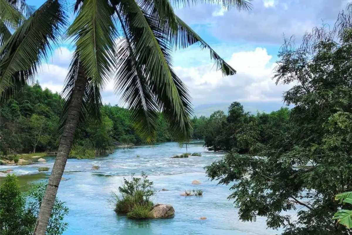 Stream view with palm trees at Waterland Scenic stream flowing beneath palm trees and lush greenery at Waterland Thach Lam.