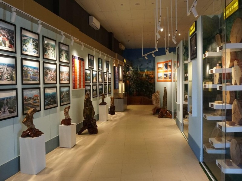 Binh Phuoc Museum Cultural Exhibits Binh Phuoc Museum showcasing cultural exhibits and artifacts.