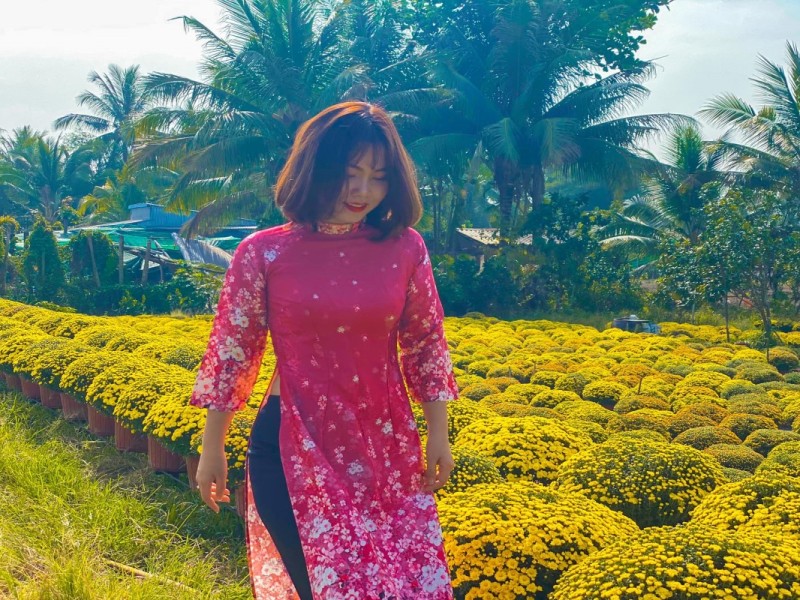 Cai Mon Ornamental Flower Village in Ben Tre Ornamental flower beds in Cai Mon Flower Village, showcasing vibrant yellow blooms and traditional agricultural practices in Ben Tre.