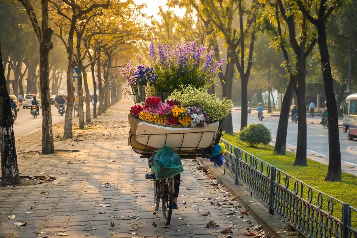 Ha Noi Autumn