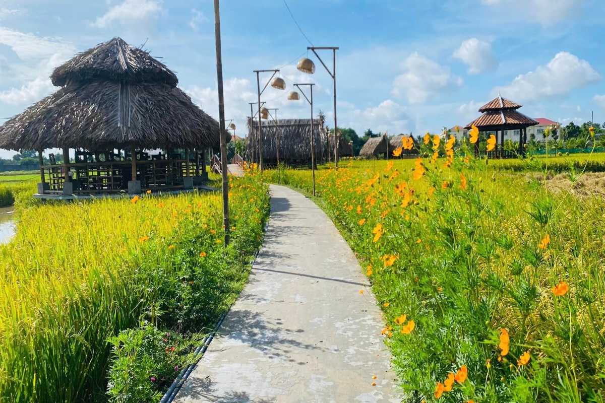 Long An Travel Guide rural garden path with flowers Peaceful garden walkway bordered by flowering plants and rice paddies in Long An Travel Guide rural areas