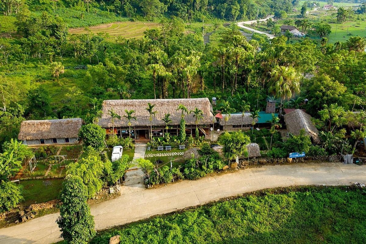Aerial view of Long Coc tea hill in Phu Tho during a misty dawn