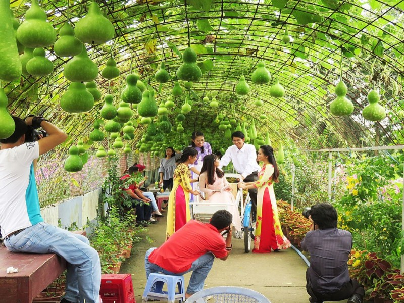 Man Dinh Hong Flower Garden - Blossoming Beauty in Tien Giang Visitors enjoying a picturesque walk through the flowers at Man Dinh Hong Flower Garden, Tien Giang.