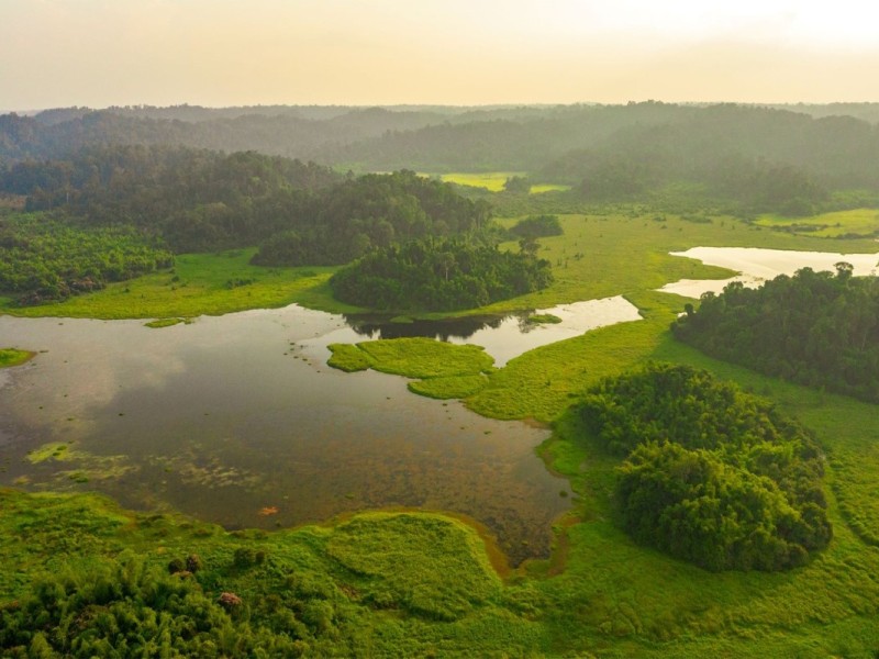 Nam Cat Tien National Park Dong Nai - Aerial Beauty of the Forest Aerial view of the dense forest and waterways in Nam Cat Tien National Park, Dong Nai