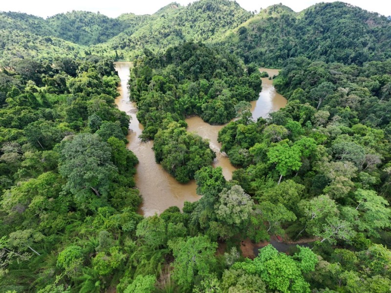 Nam Cat Tien National Park in Dong Nai Province - Lush Green Landscape Expansive view of Nam Cat Tien National Park's lush green landscape in Dong Nai province