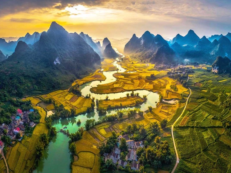 Phong Nam Valley Cao Bang Breathtaking view of Phong Nam Valley in Cao Bang with golden rice fields and towering limestone mountains.