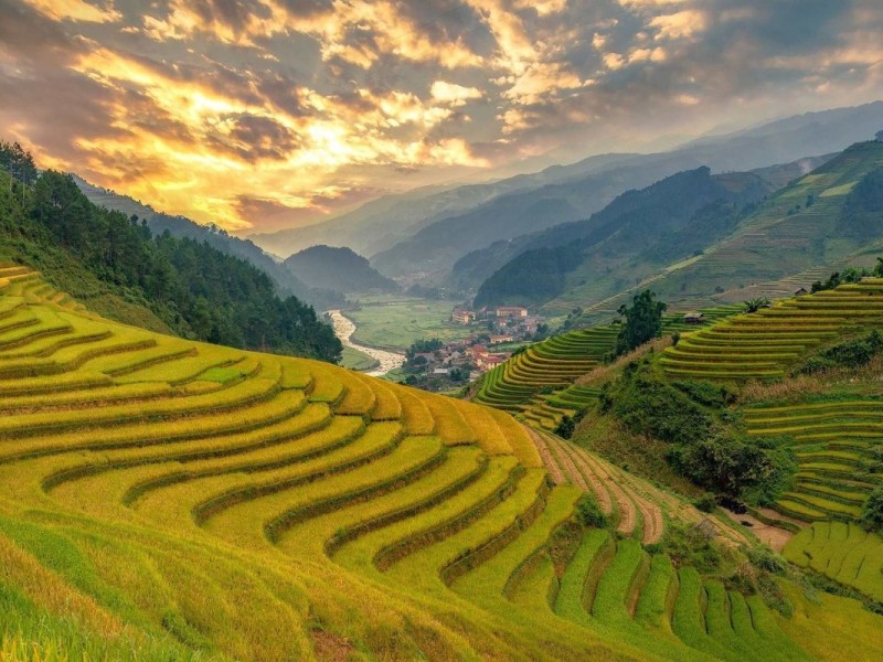 Rice Terraces in Mu Cang Chai Golden rice terraces in Mu Cang Chai during harvest season.