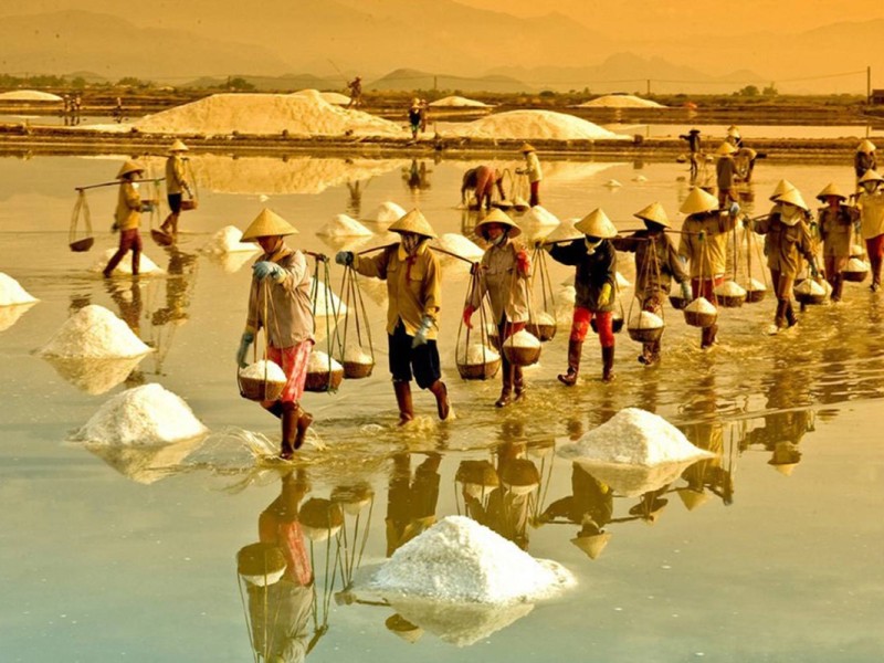 Sa Huynh Salt Field Quang Ngai! Laborers harvesting salt at Sa Huynh Salt Field Quang Ngai during a golden sunset.