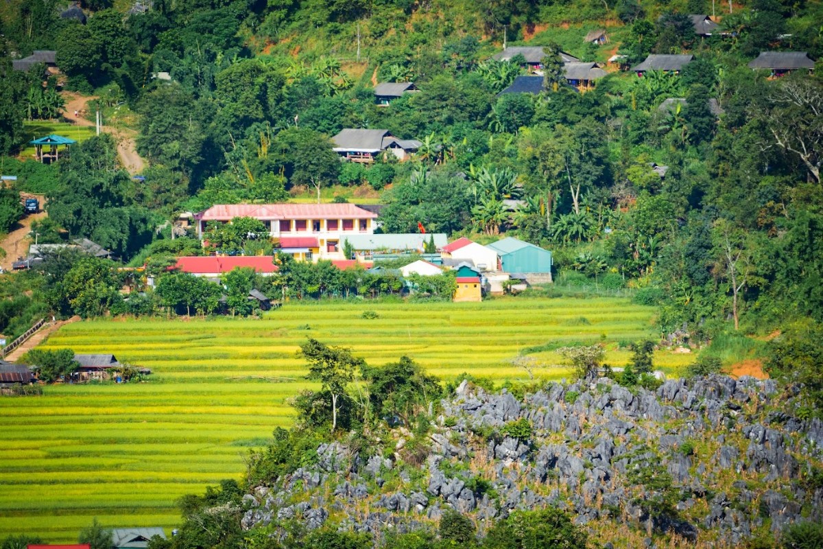 Scenic View of Dien Bien Village Beautiful village scenery in Dien Bien Province with rice fields and traditional houses