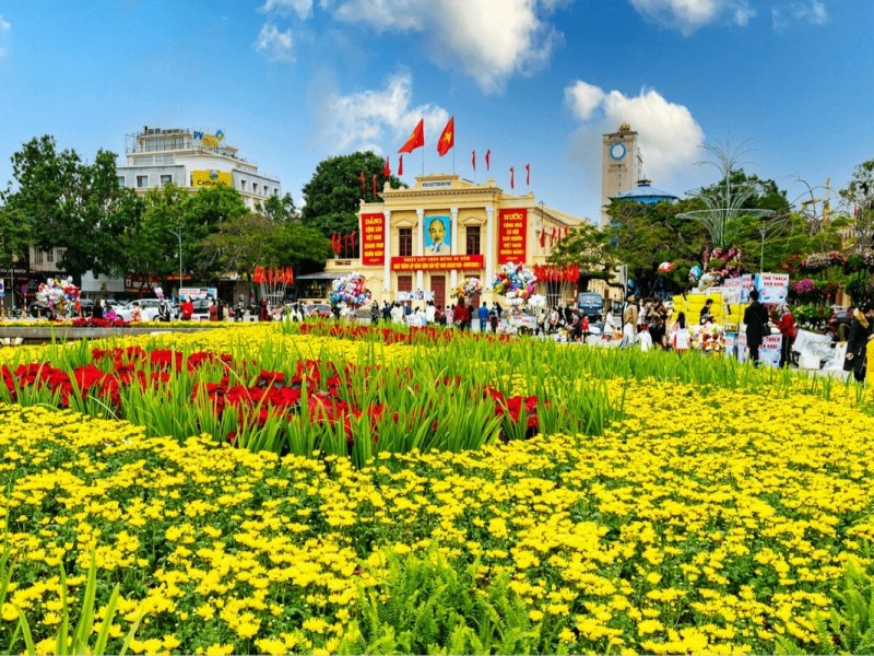 Springtime Blossoms in Hai Phong City Springtime blooms in Hai Phong, with flowers in full bloom across the city.