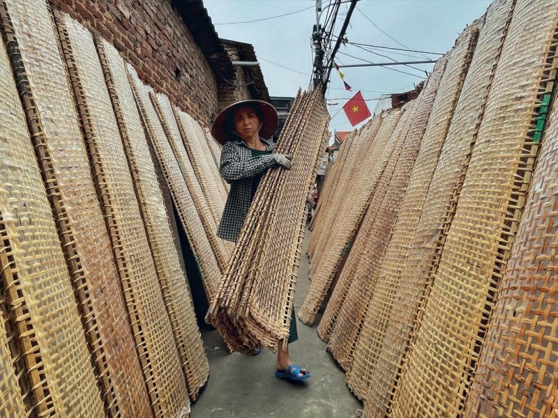 Tho Ha Rice Paper Drying in Traditional Village Woman drying rice papers in Tho Ha village, Bac Giang, traditional craft scene