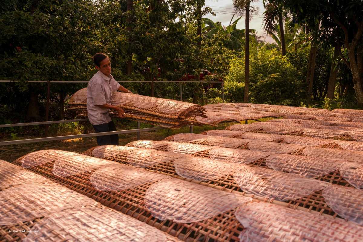 Local artisan drying traditional rice paper Local Vinh Long artisan carefully drying handmade rice paper mats in a shaded garden area