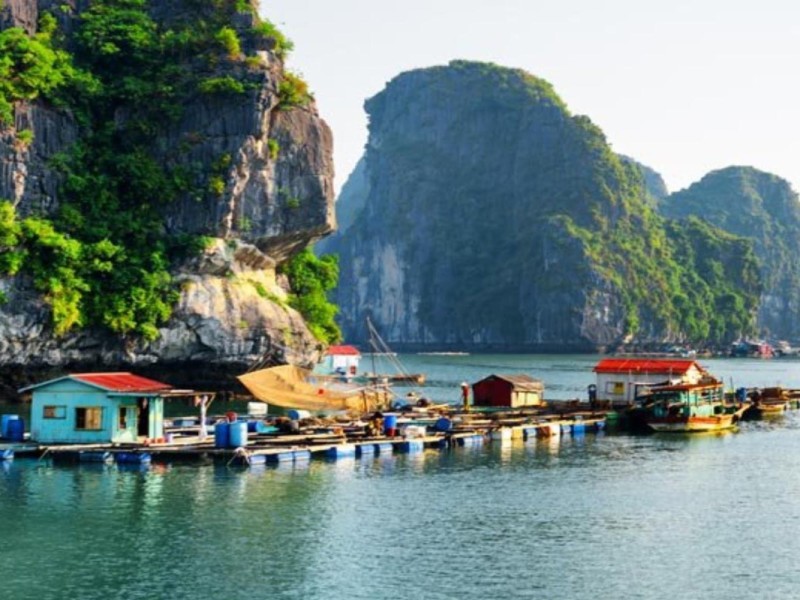 Floating Fishing Village in Cat Ba Island Floating fishing village near Cat Ba Island with colorful boats and limestone cliffs.