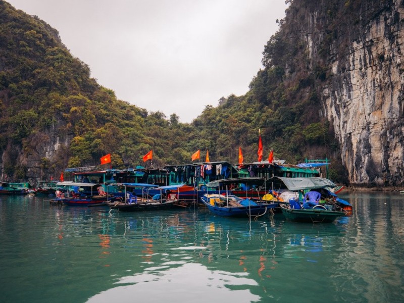 Scenic Fishing Boats in Cat Ba Island Scenic view of fishing boats anchored near Cat Ba Island, surrounded by lush green hills and calm waters.